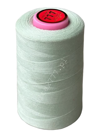 Nici 40/2 kolor nr 302 (1 szt.)